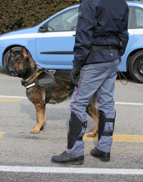 police dog while patrolling the city streets to prevent terroris