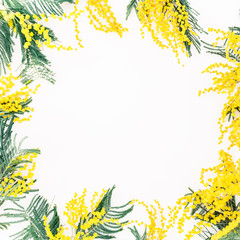 Floral round frame with yellow mimosa on white background. Flat lay, top view.