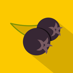 Fresh chokeberry or aronia berry icon, flat style