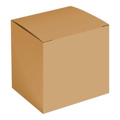 Blank cardboard box mockup, realistic style