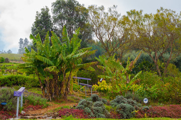 Botanical Gardens