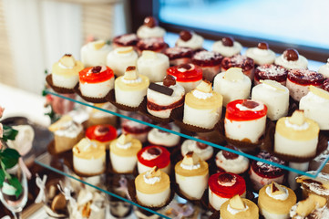 rows of italian mignon cakes on a glass stand