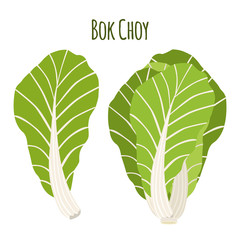 Bok choy, chinese cabbage in flat style. Natural organic vegetable. - obrazy, fototapety, plakaty