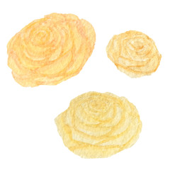 Hand drawn watercolor vintage yellow roses isolated on the white background