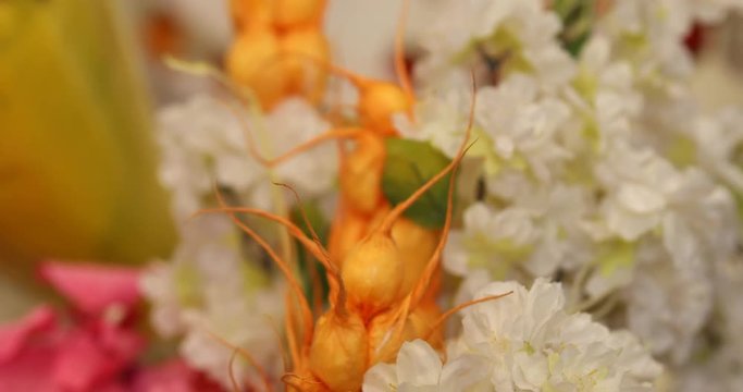 Micro shot of the Flowers