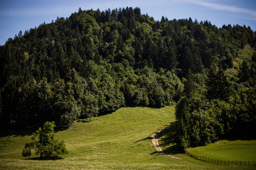 Fototapeta na wymiar Slovenian hill