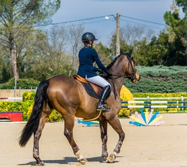 Obraz premium Equitation,saut d'obstacles,compétition.