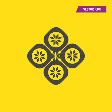 Bohemic design. mandale icon. decoration concept, vector illustration