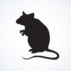 Mouse. Vector drawing