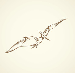 Pterodactyl. Vector drawing © Marina