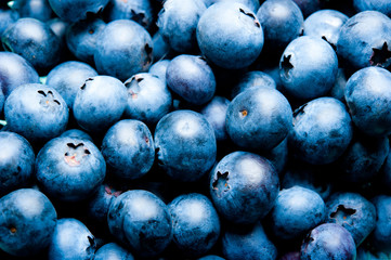 blueberries - macro and full frame like a background