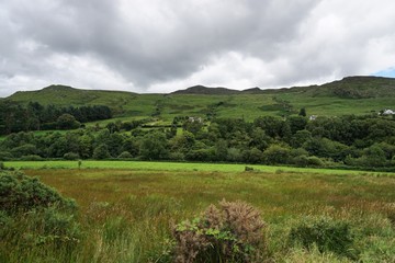 Fototapeta premium wilde Landschaften in Irland