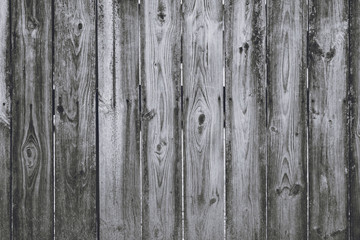 Wooden Fence