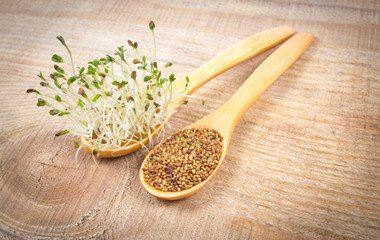 Fresh alfalfa sprouts and seeds - closeup.