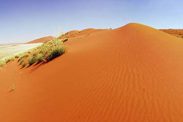 terracotta dunes, blue sky and green grass in South Africa