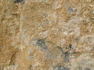 Aspérités et détails d'une roche en montagne