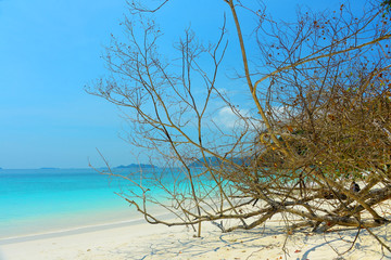 Island of the Myanmar 
