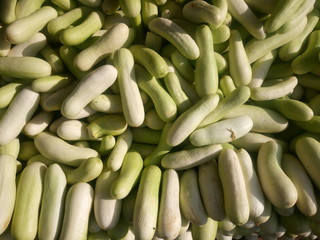 Closeup of cucumbers for sale