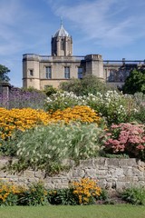 Fototapeta premium rues, places et bâtiments de la ville universitaire d'Oxford