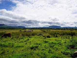 Fototapeta na wymiar Berglandschaft in Irland