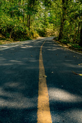 Yellow curve road sign