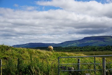 Berglandschaft in Irland