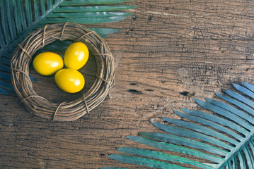 eggs yellow with palm leaf