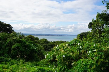 irische Atlantik Küste, Howth