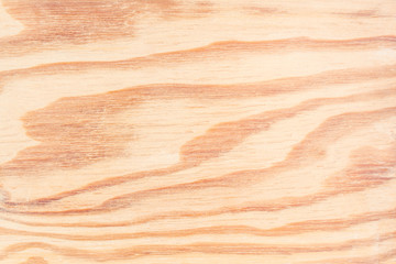 wood texture wall / floor background, structure of natural untreated wood fibers close-up, abstract background