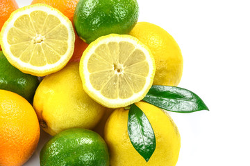 Collection of different citrus fruits