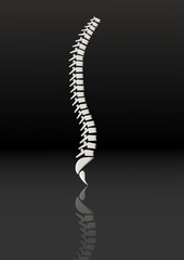  Isolated anatomical realistic spine.