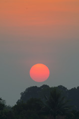 beautiful sunset over tree
