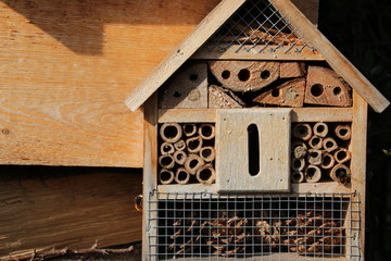 Insektenhotel