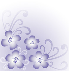 Floral background in purple and white