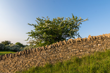 A country side stone wall made of Cotswold stone.