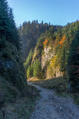 Fototapeta na wymiar Szopczanski gorge in autumn Pieniny mountains