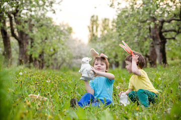 Two little kids boys and friends in Easter bunny ears during traditional egg hunt in spring garden, outdoors. Siblings having fun with finding colorful eggs. Old christian catholoc tradition