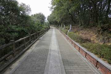 愛媛県西予市　須崎観音　遊歩道