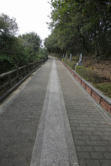 愛媛県西予市　須崎観音　遊歩道