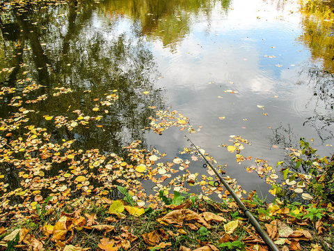 Fishing rod on the river bank, autumn leaves on the water on the autumn fishing.
