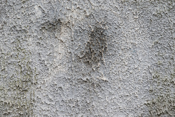 concrete wall