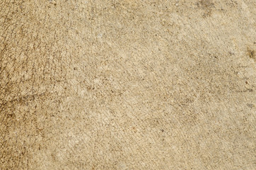 Rhino skin texture background