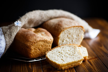 fresh homemade buckwheat bread