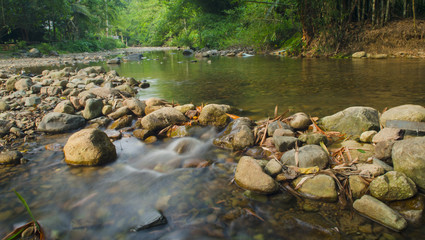 Fototapeta na wymiar Forest stream running over mossy rocks