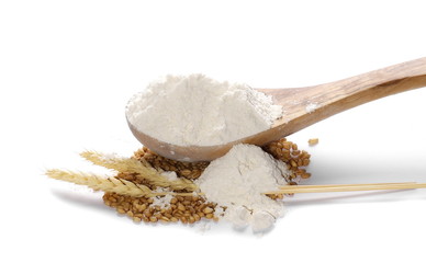 flour in wooden spoon and wheat ears, with grain isolated on white background