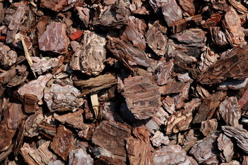 cut off tree bark
