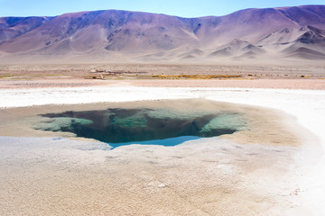 Naklejka premium Ojos de Mar. Tolar Grande. Salta. Argentina. 