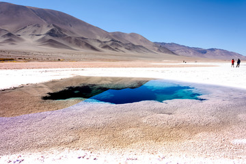 Ojos de Mar. Tolar Grande. Salta. Argentina. 