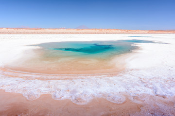 Ojos de Mar. Tolar Grande. Salta. Argentina. 