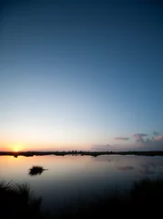 Fototapeten Sunset in national park Dwingelederveld © A